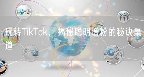 玩转TikTok，揭秘聪明增粉的秘诀渠道