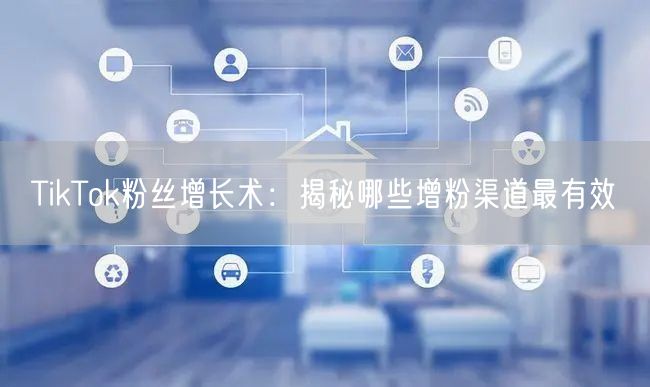 TikTok粉丝增长术：揭秘哪些增粉渠道最有效