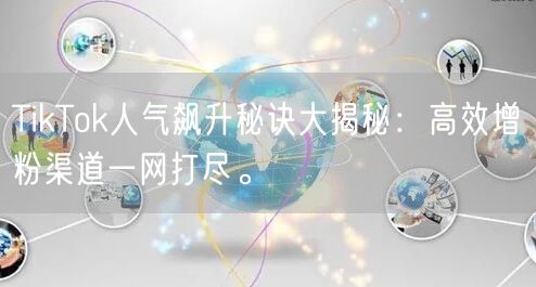 TikTok人气飙升秘诀大揭秘：高效增粉渠道一网打尽。