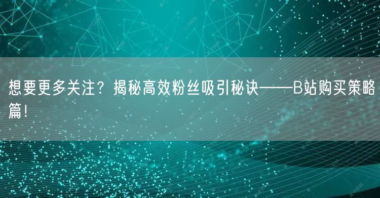 想要更多关注？揭秘高效粉丝吸引秘诀——B站购买策略篇！