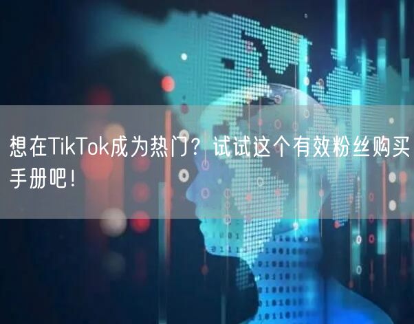 想在TikTok成为热门？试试这个有效粉丝购买手册吧！