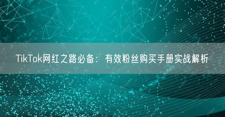TikTok网红之路必备：有效粉丝购买手册实战解析