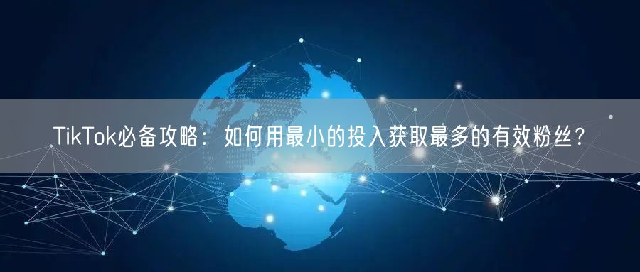 TikTok必备攻略：如何用最小的投入获取最多的有效粉丝？