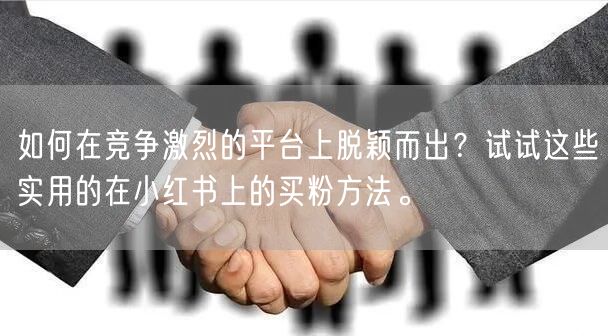 如何在竞争激烈的平台上脱颖而出？试试这些实用的在小红书上的买粉方法。