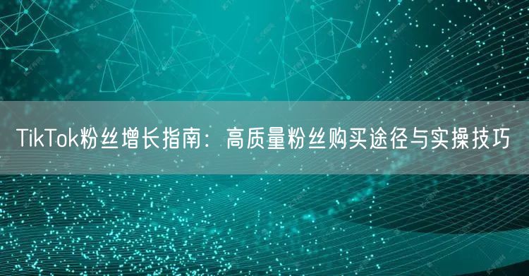 TikTok粉丝增长指南：高质量粉丝购买途径与实操技巧