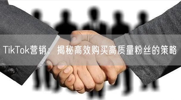 TikTok营销：揭秘高效购买高质量粉丝的策略