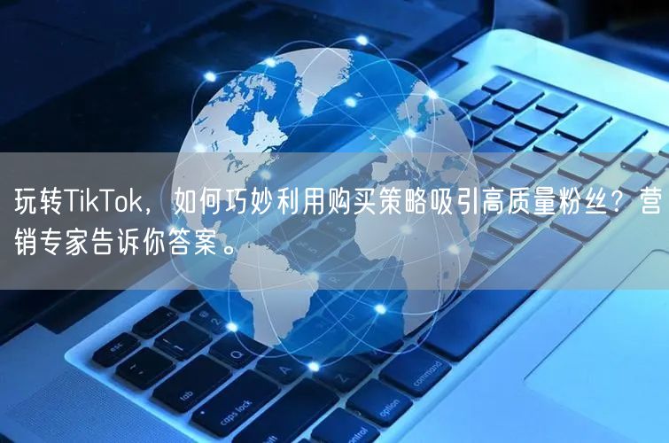 玩转TikTok，如何巧妙利用购买策略吸引高质量粉丝？营销专家告诉你答案。