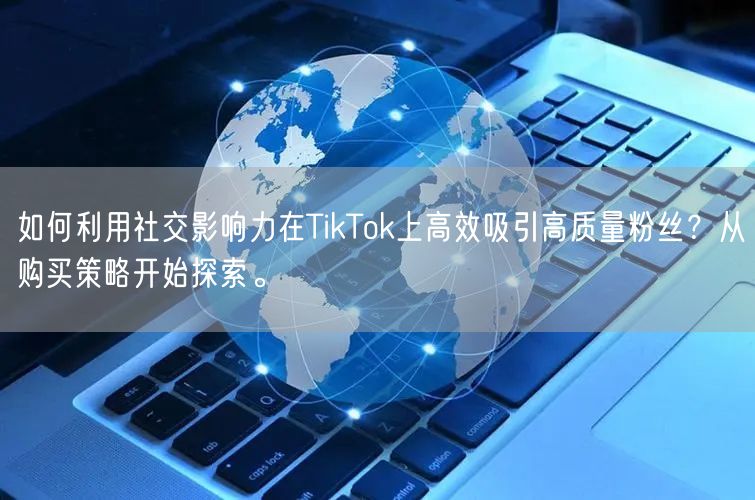 如何利用社交影响力在TikTok上高效吸引高质量粉丝？从购买策略开始探索。