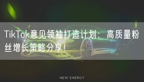 TikTok意见领袖打造计划：高质量粉丝增长策略分享！