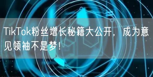 TikTok粉丝增长秘籍大公开，成为意见领袖不是梦！