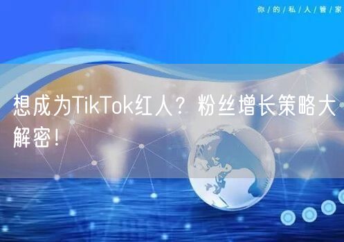 想成为TikTok红人？粉丝增长策略大解密！