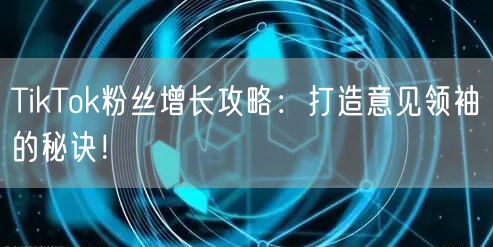 TikTok粉丝增长攻略：打造意见领袖的秘诀！
