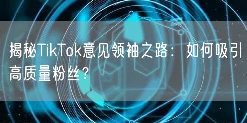 揭秘TikTok意见领袖之路：如何吸引高质量粉丝？