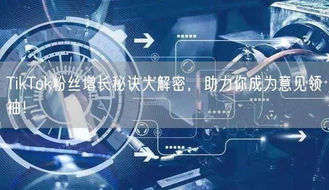 TikTok粉丝增长秘诀大解密，助力你成为意见领袖！