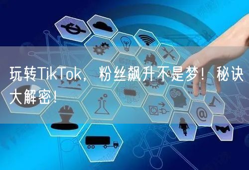 玩转TikTok，粉丝飙升不是梦！秘诀大解密！
