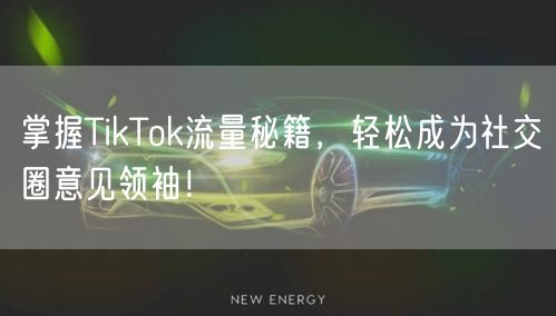 掌握TikTok流量秘籍，轻松成为社交圈意见领袖！