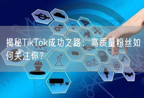 揭秘TikTok成功之路：高质量粉丝如何关注你？
