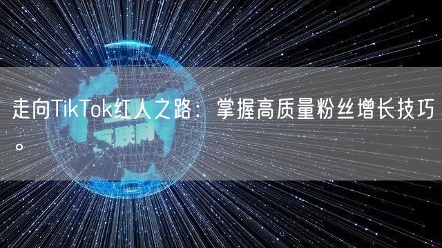 走向TikTok红人之路：掌握高质量粉丝增长技巧。