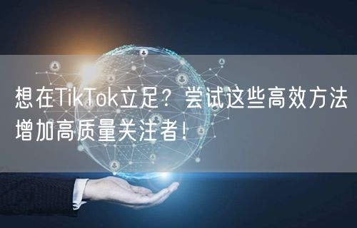 想在TikTok立足？尝试这些高效方法增加高质量关注者！