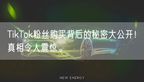 TikTok粉丝购买背后的秘密大公开！真相令人震惊。