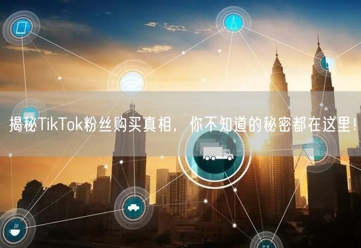 揭秘TikTok粉丝购买真相，你不知道的秘密都在这里！