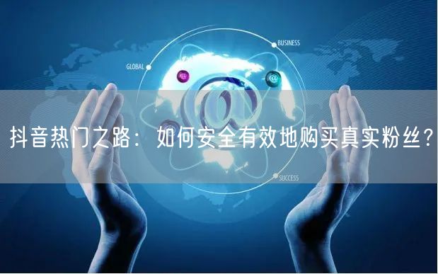 抖音热门之路：如何安全有效地购买真实粉丝？