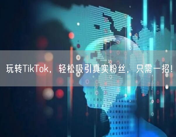 玩转TikTok，轻松吸引真实粉丝，只需一招！