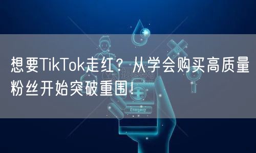想要TikTok走红？从学会购买高质量粉丝开始突破重围！