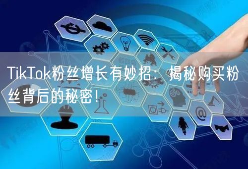 TikTok粉丝增长有妙招：揭秘购买粉丝背后的秘密！