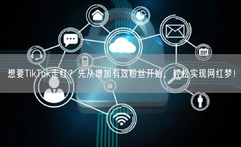 想要TikTok走红？先从增加有效粉丝开始，轻松实现网红梦！