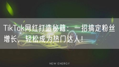 TikTok网红打造秘籍：一招搞定粉丝增长，轻松成为热门达人！