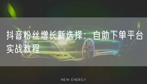 抖音粉丝增长新选择：自助下单平台实战教程