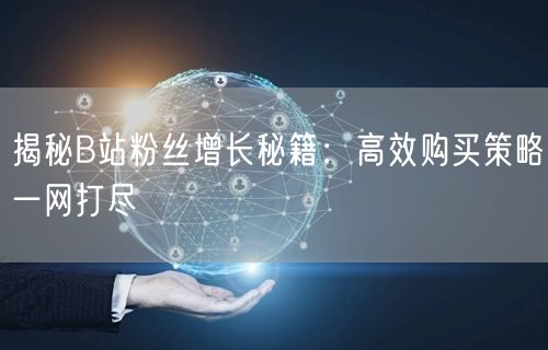 揭秘B站粉丝增长秘籍：高效购买策略一网打尽