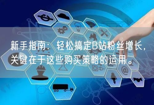 新手指南：轻松搞定B站粉丝增长，关键在于这些购买策略的运用。