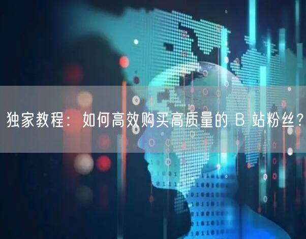 独家教程：如何高效购买高质量的 B 站粉丝？