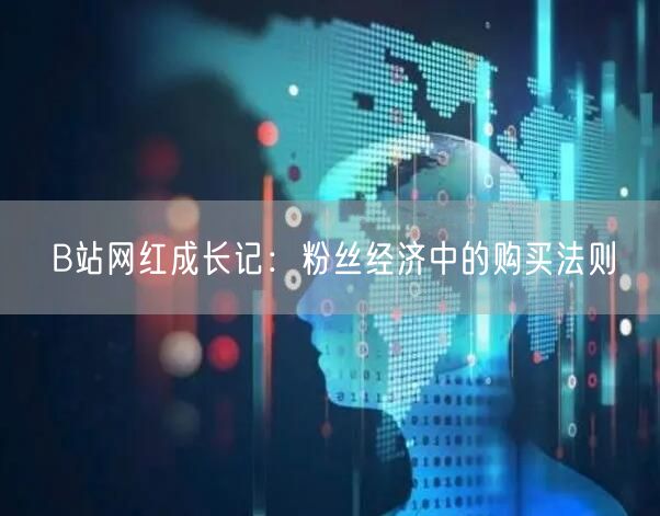 B站网红成长记：粉丝经济中的购买法则