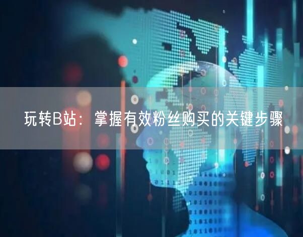 玩转B站：掌握有效粉丝购买的关键步骤