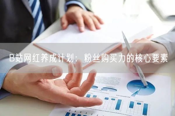 B站网红养成计划：粉丝购买力的核心要素