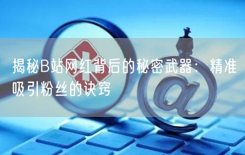 揭秘B站网红背后的秘密武器：精准吸引粉丝的诀窍