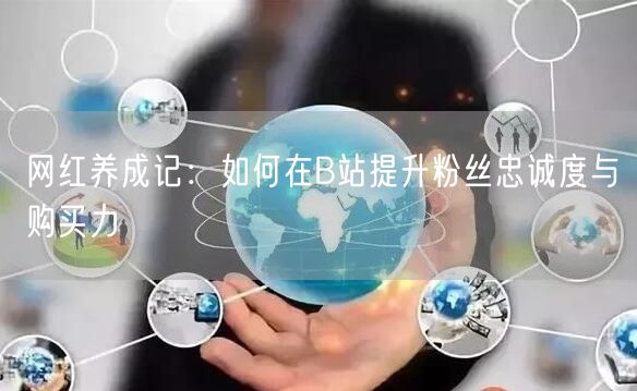 网红养成记：如何在B站提升粉丝忠诚度与购买力