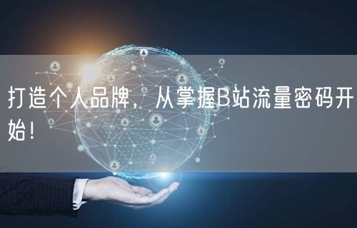 打造个人品牌，从掌握B站流量密码开始！