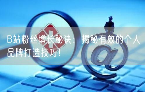 B站粉丝增长秘诀：揭秘有效的个人品牌打造技巧！
