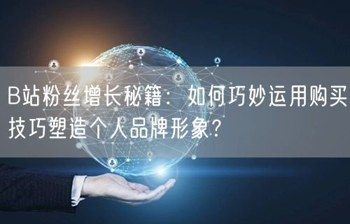 B站粉丝增长秘籍：如何巧妙运用购买技巧塑造个人品牌形象？