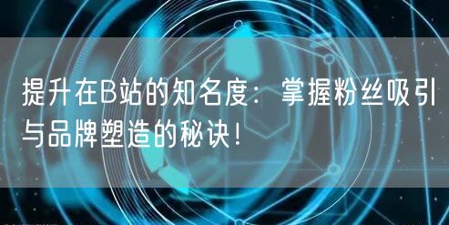 提升在B站的知名度：掌握粉丝吸引与品牌塑造的秘诀！