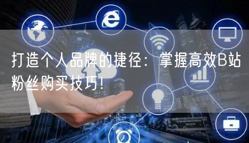 打造个人品牌的捷径：掌握高效B站粉丝购买技巧！