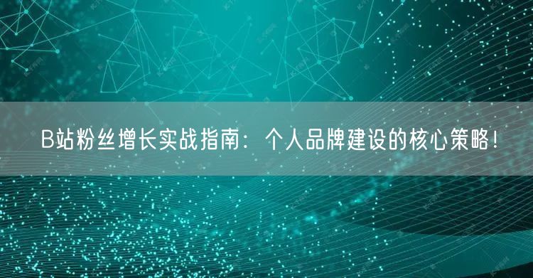 B站粉丝增长实战指南：个人品牌建设的核心策略！