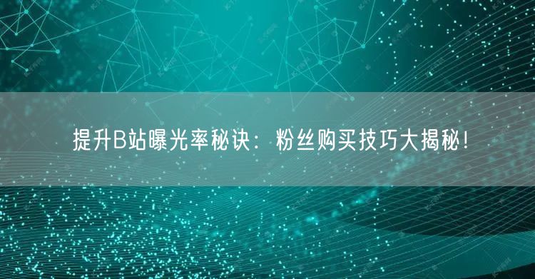 提升B站曝光率秘诀：粉丝购买技巧大揭秘！