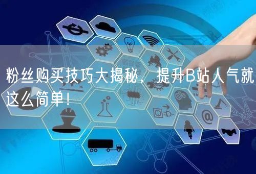 粉丝购买技巧大揭秘，提升B站人气就这么简单！