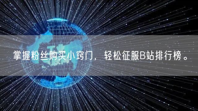 掌握粉丝购买小窍门，轻松征服B站排行榜。