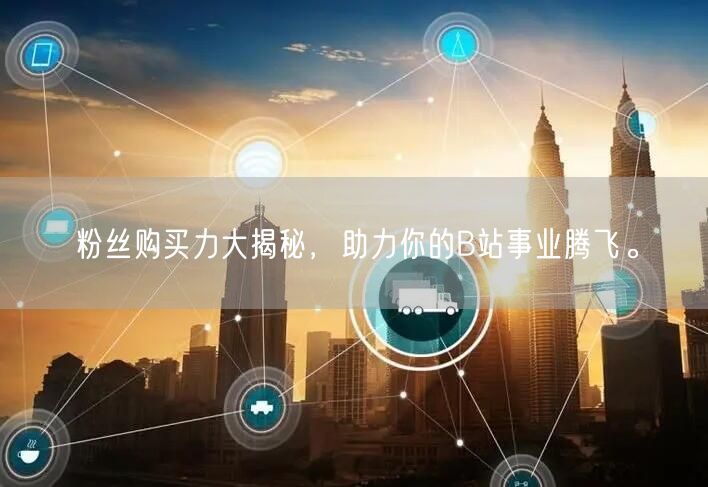 粉丝购买力大揭秘，助力你的B站事业腾飞。